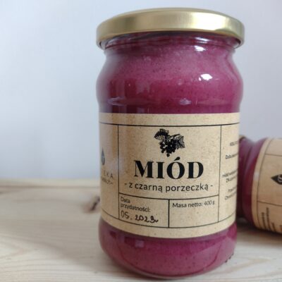 Miód z czarną porzeczką - 400g